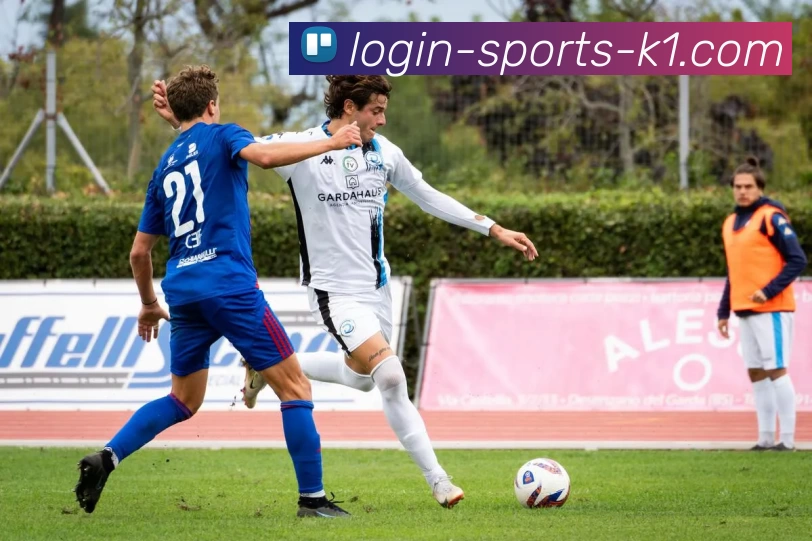 k1体育APP 封面图